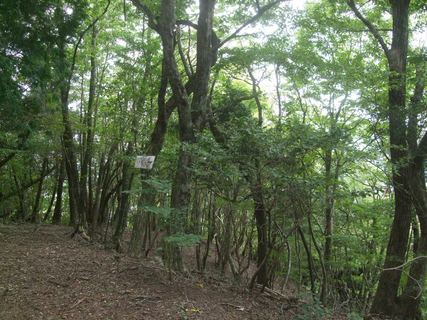 眺望はありません。
ここで軽いお昼にします。