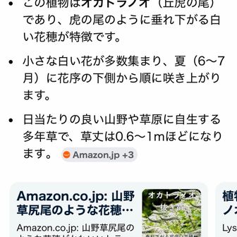 オカトラノオだそうな