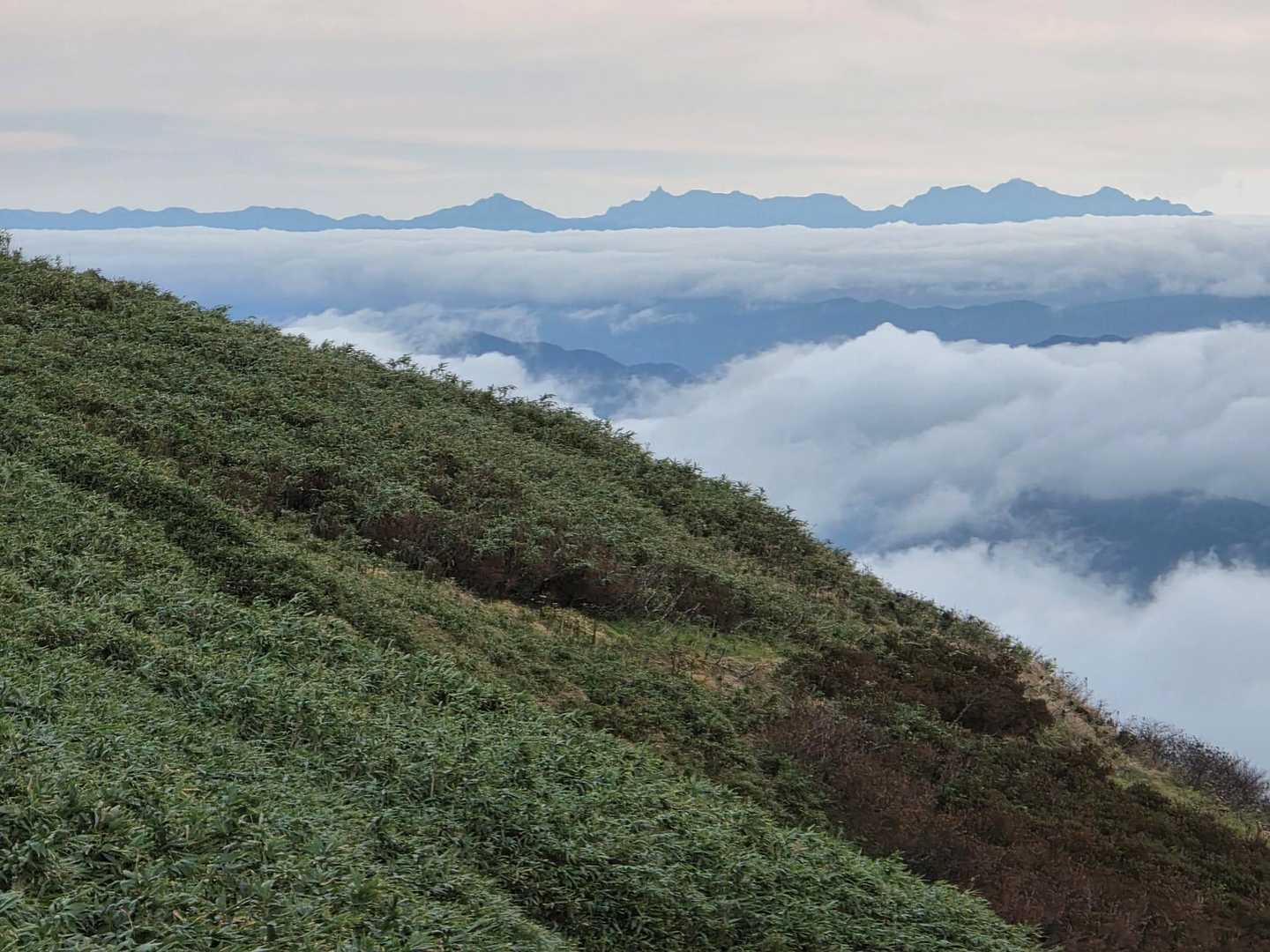 温見峠-能郷白山 往復コースの写真