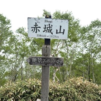 黒檜山に到着✨