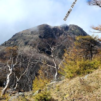 こっから来た