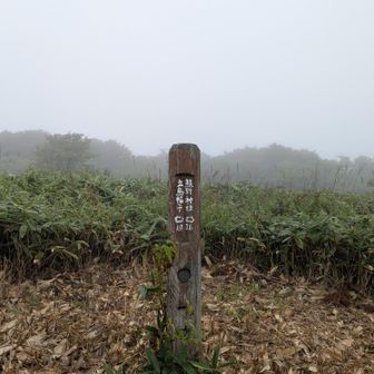 竜王山山頂