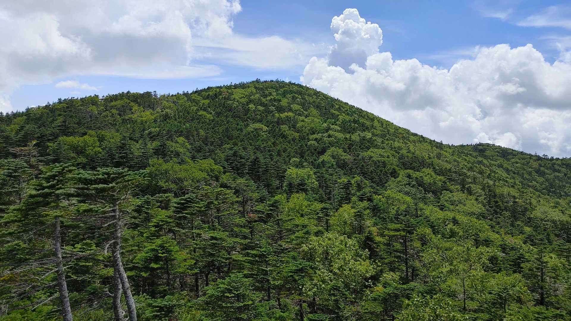 北奥千丈岳