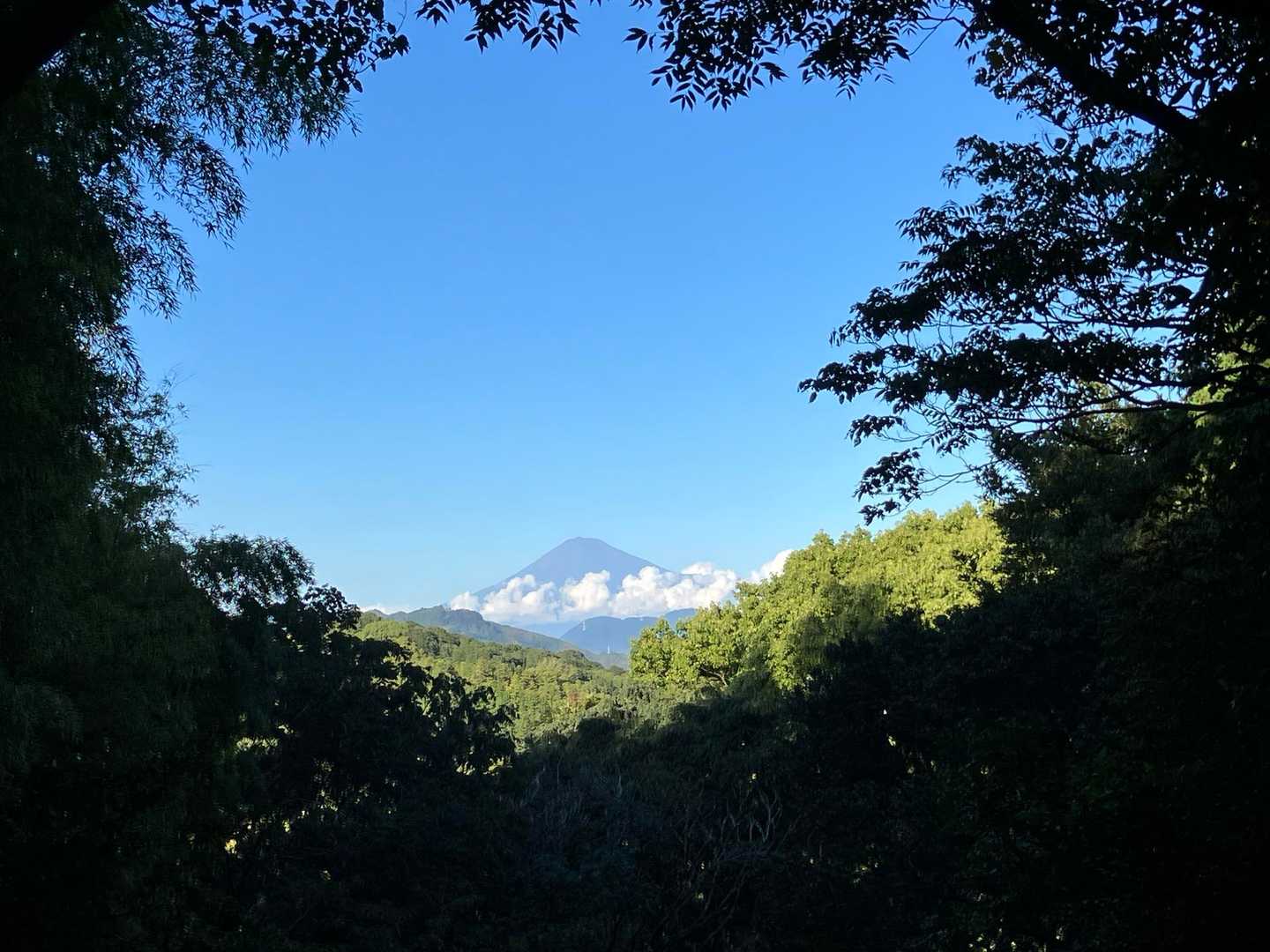 富士山展望所　今日は良く富士山🗻見られました。ありがとう😊