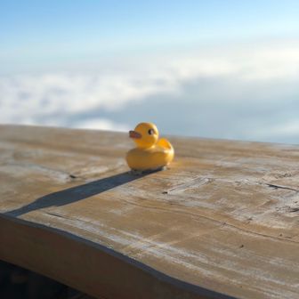 とうしょうぐん