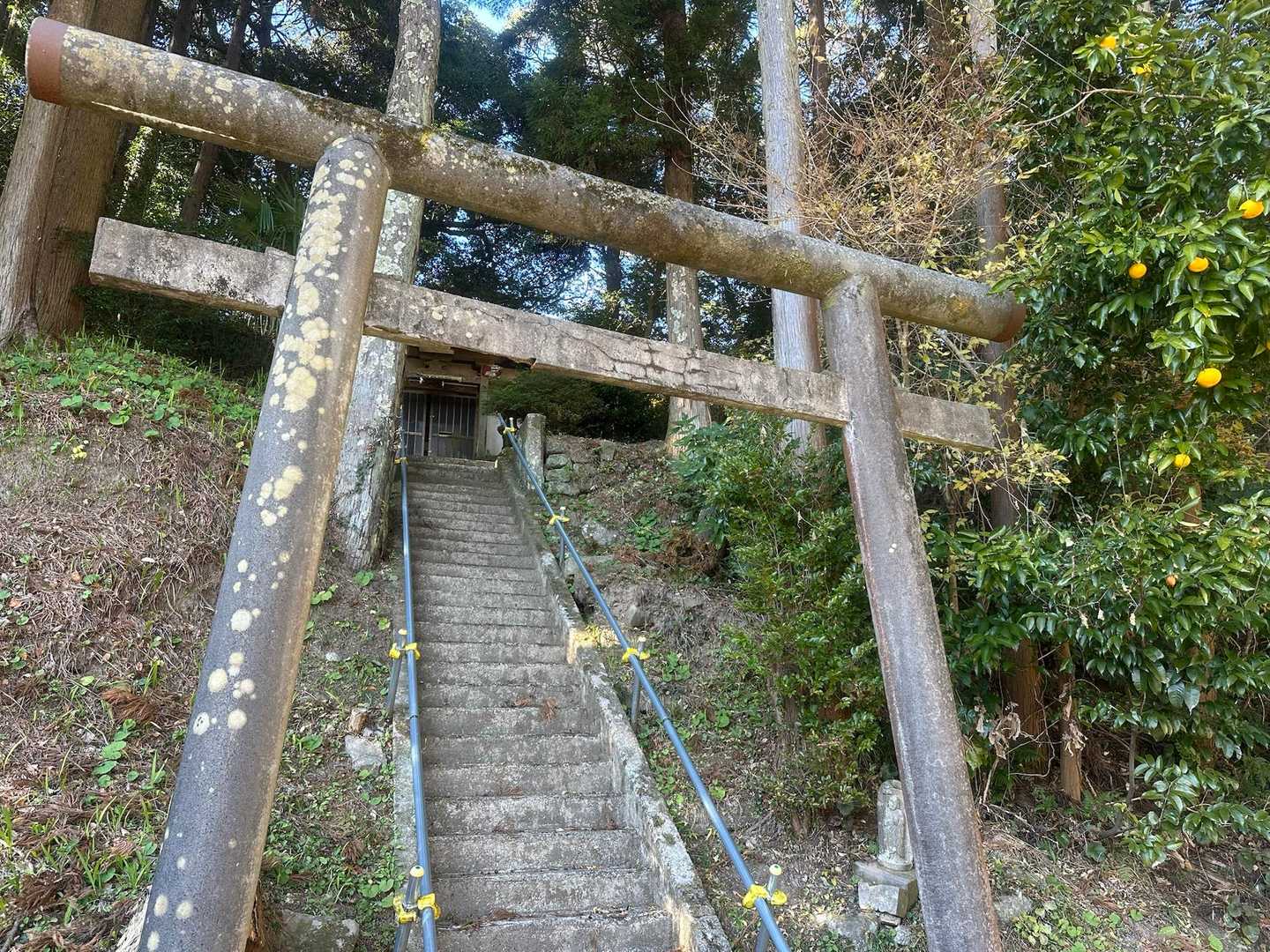 玄関少し開いてるけど😨