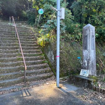 ふぃにっしゅ🔚
さて、ママチャリ🚲にまたがりひろめ市場へ💨
唐揚げ🍗と酒盗🐟を買いに🍶