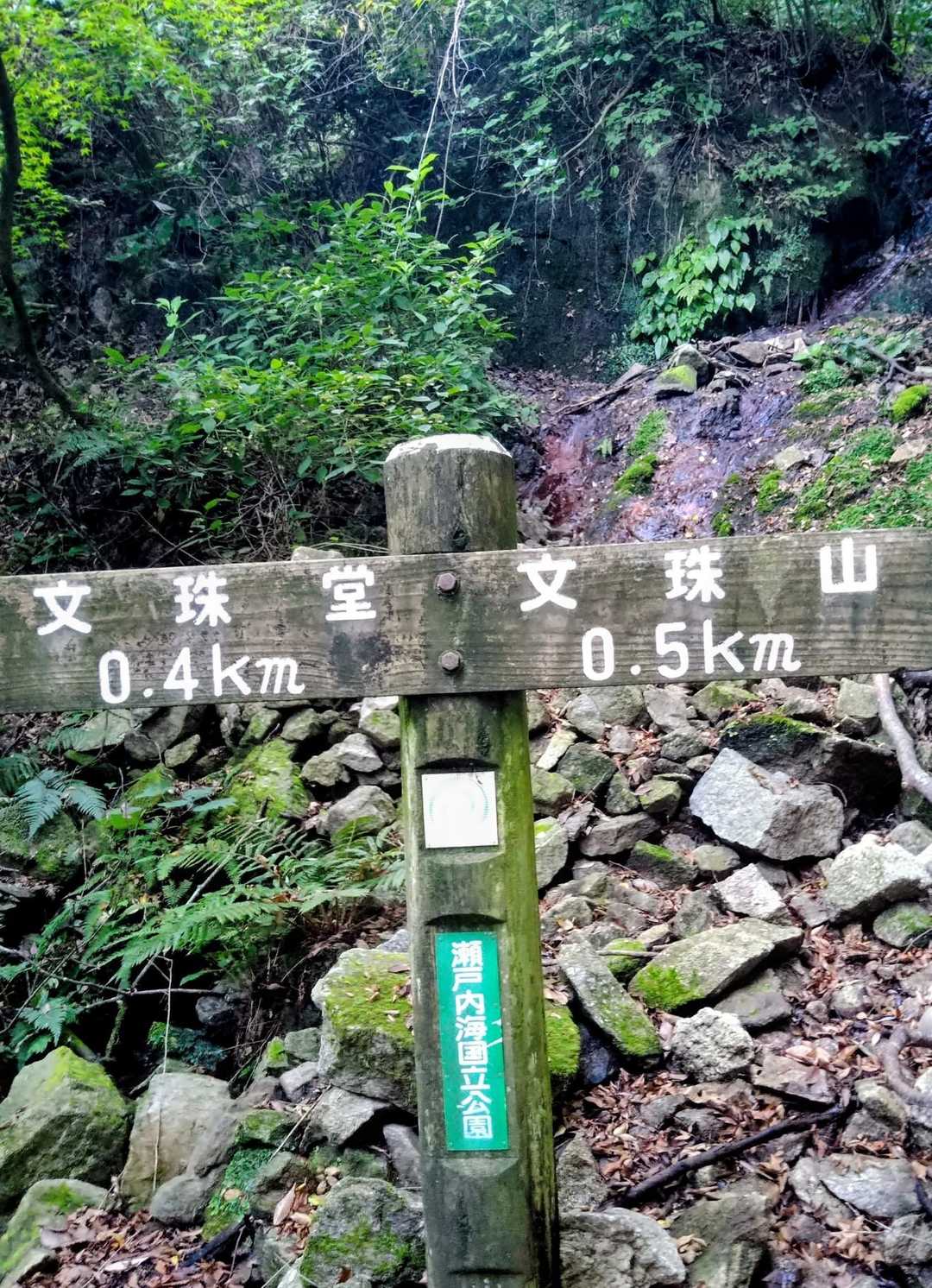 文珠山 往復コースの写真