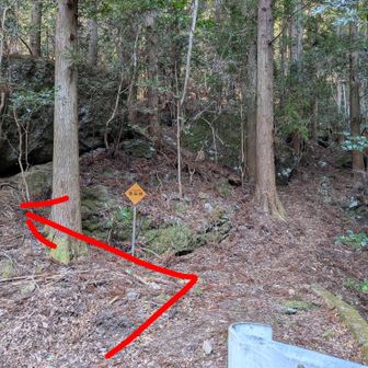 ２つ目の公園前、山側に登山口あり。ピンテ通り、左斜面へ。直進に踏み跡あるので誘われないように。