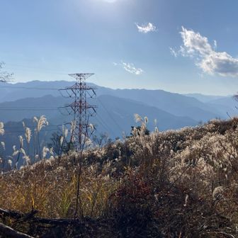 冬だけど秋っぽい風景です。