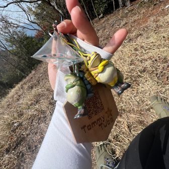 かえるくんたちも