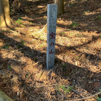 半蔵越に、清川　宝の山　の標柱がありました