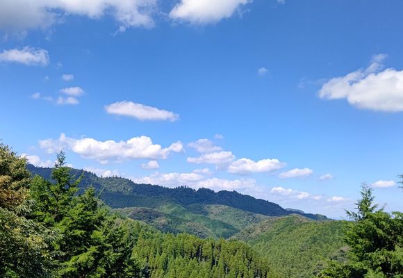 草戸山（東京・神奈川・364m）| 登山ルート・天気 | YAMAP / ヤマップ