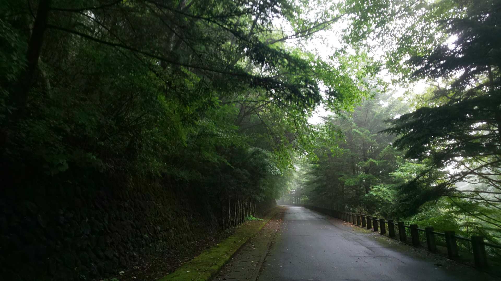 最初は別荘地を進みます