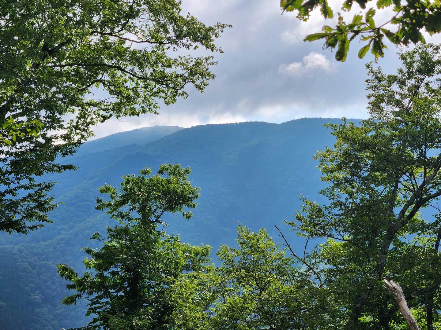 打見山や蓬莱山方向