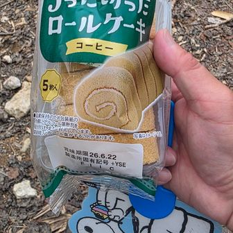 ちょっと休憩。地味にこのロールケーキ好き。