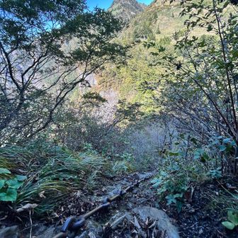 結局、若者たちには会わず…幻聴だったのか？

下山できるかが問題だったが、思いのほかいけました😆

これは岩登り講習会のおかげ！
岩から身体を離して、手は伸ばし、かかとをしっかり岩につける！

ゆっくりだけど、怖さなく着実に安定して降りてこれました🙌