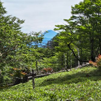 曇り予報だったけど、時たま、晴れて☀️景色良い🆗