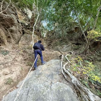 誰に似たのか？ロープ場🪢大好きな孫😂
でも今回は予想以上のロープ場にビビりまくり💦です