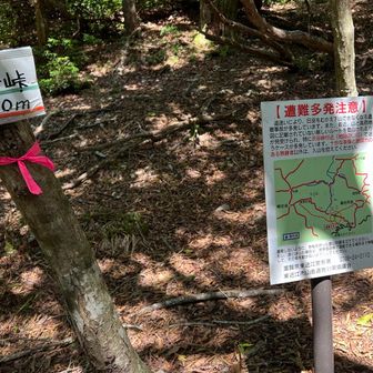 沢谷峠。
何年か前に、道迷い全国1になった事があるみたいだよ☝️