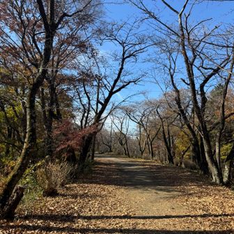 セラピーロード♪