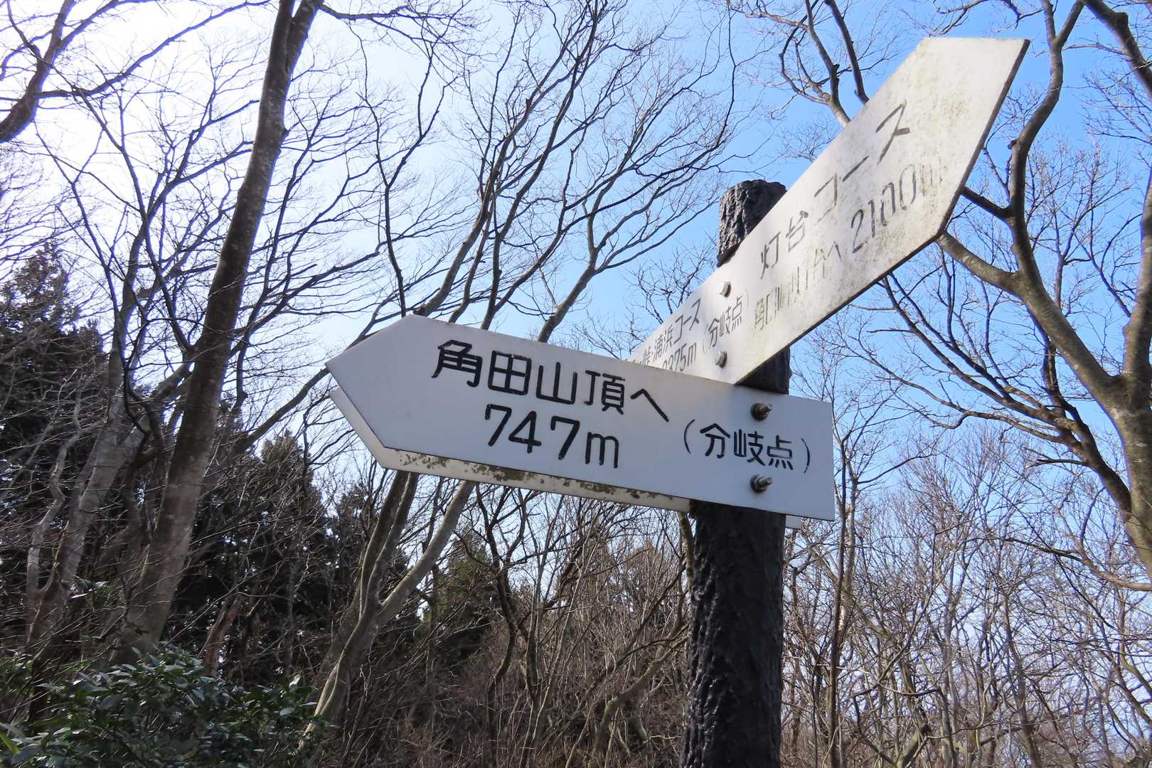 ほー、角田山って鋸山（765m）とほぼ同じなんだ！…「え？」標高じゃなく距離か～（汗）アホですみません（呆）。良く知ってる事なのに平気で矛盾する事ってありませんか？