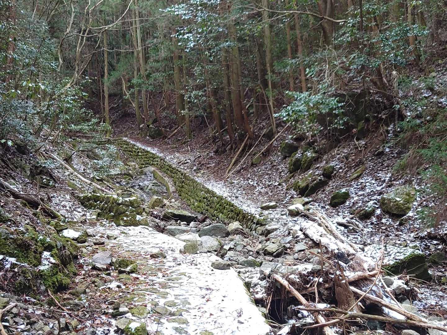 沢沿いに
渡渉を何度か