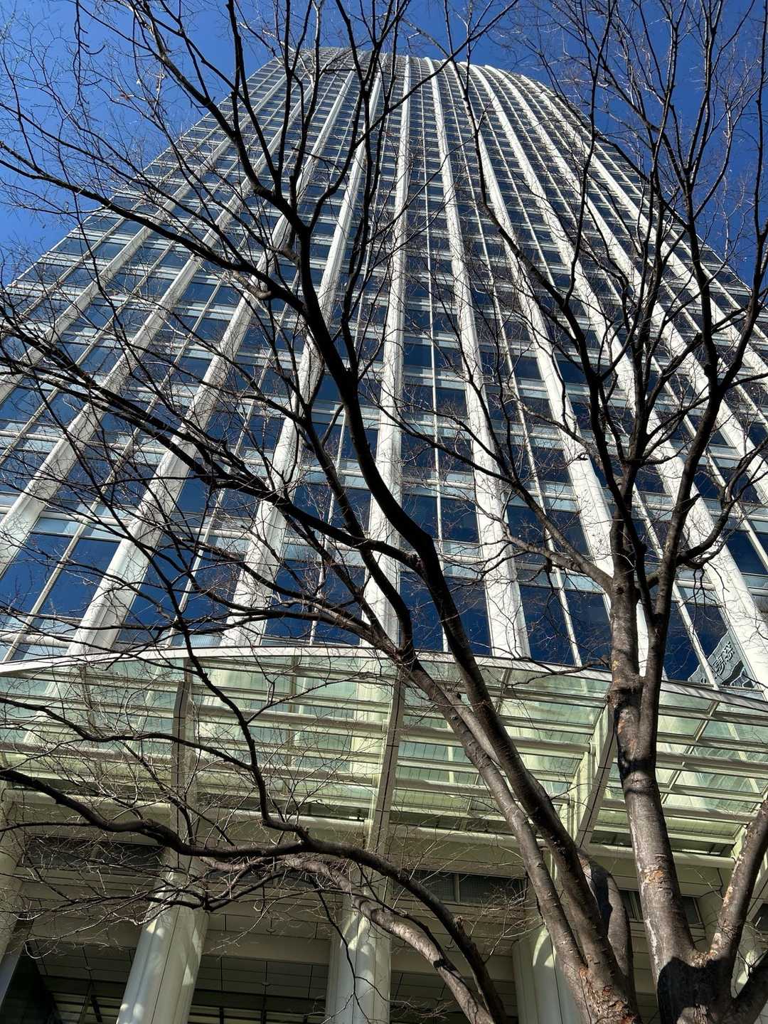 森ビル〜🏢
