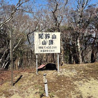 長崎尾から少し歩いて、尾鈴山の山頂に到着。