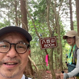標高800mの　はっぴゃくさん？
やおやま？