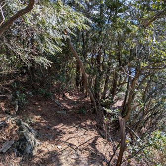 眺望のある場所への道