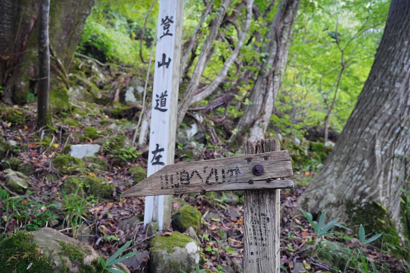 天狗山は思ったほど荒れたお山では無かったです
