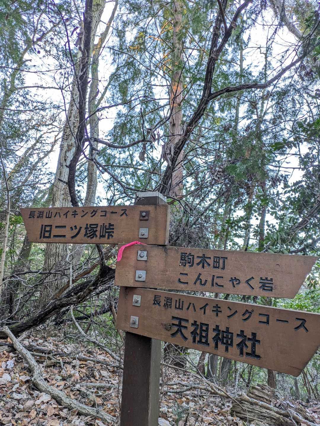 こんにゃく岩がめちゃ気になるが左へ