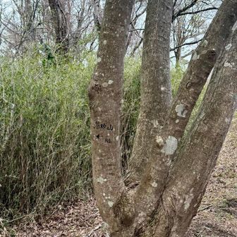 湯坂山 標高545m🥰