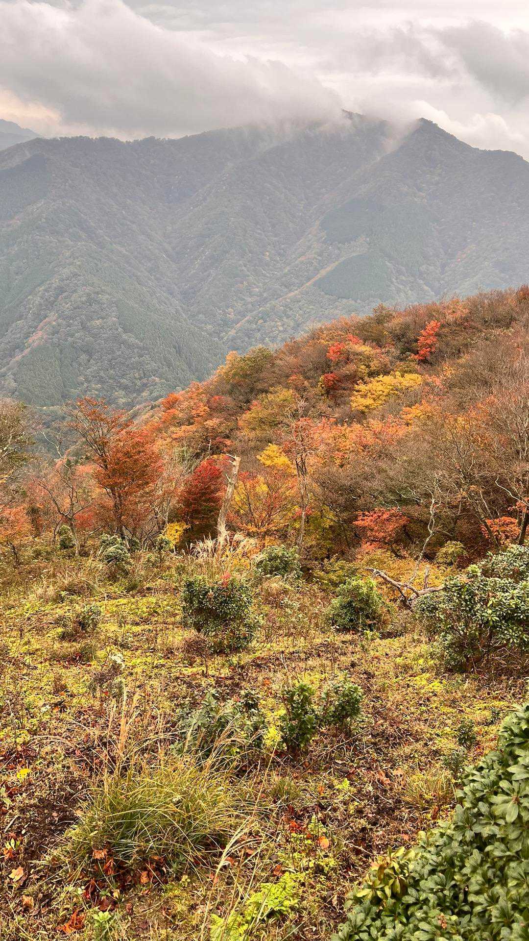 入道ヶ岳-椿大神社奥宮-水沢峠-鎌ヶ岳登山口 周回コースの写真