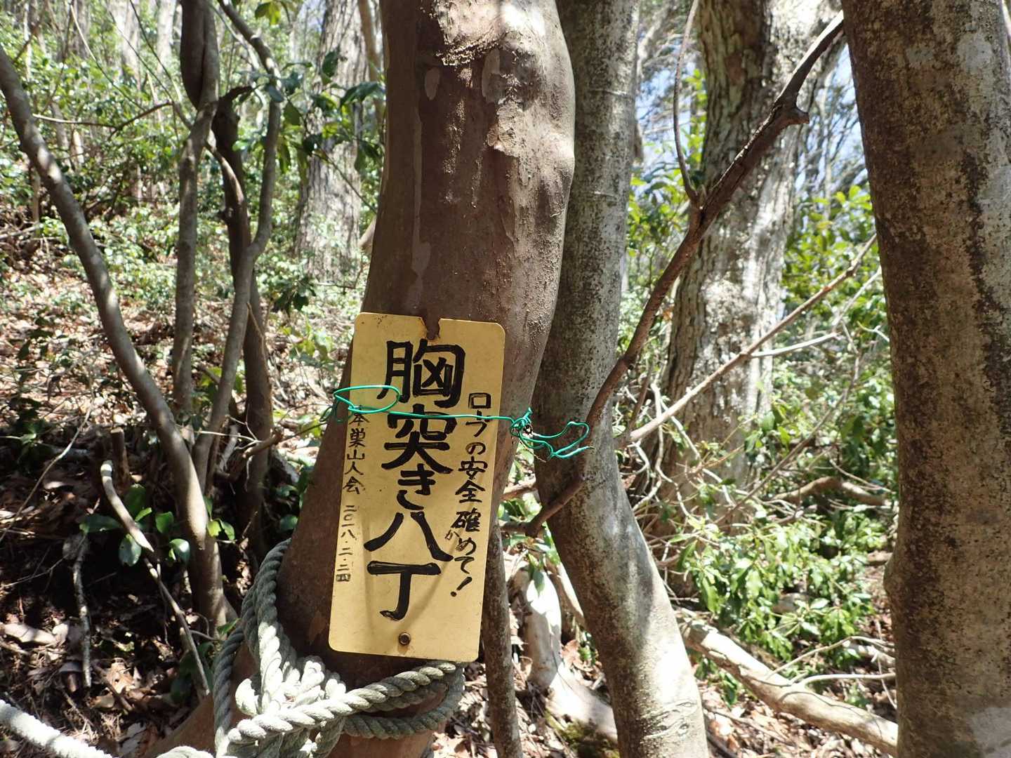 「急登祭り」の始まり🥹