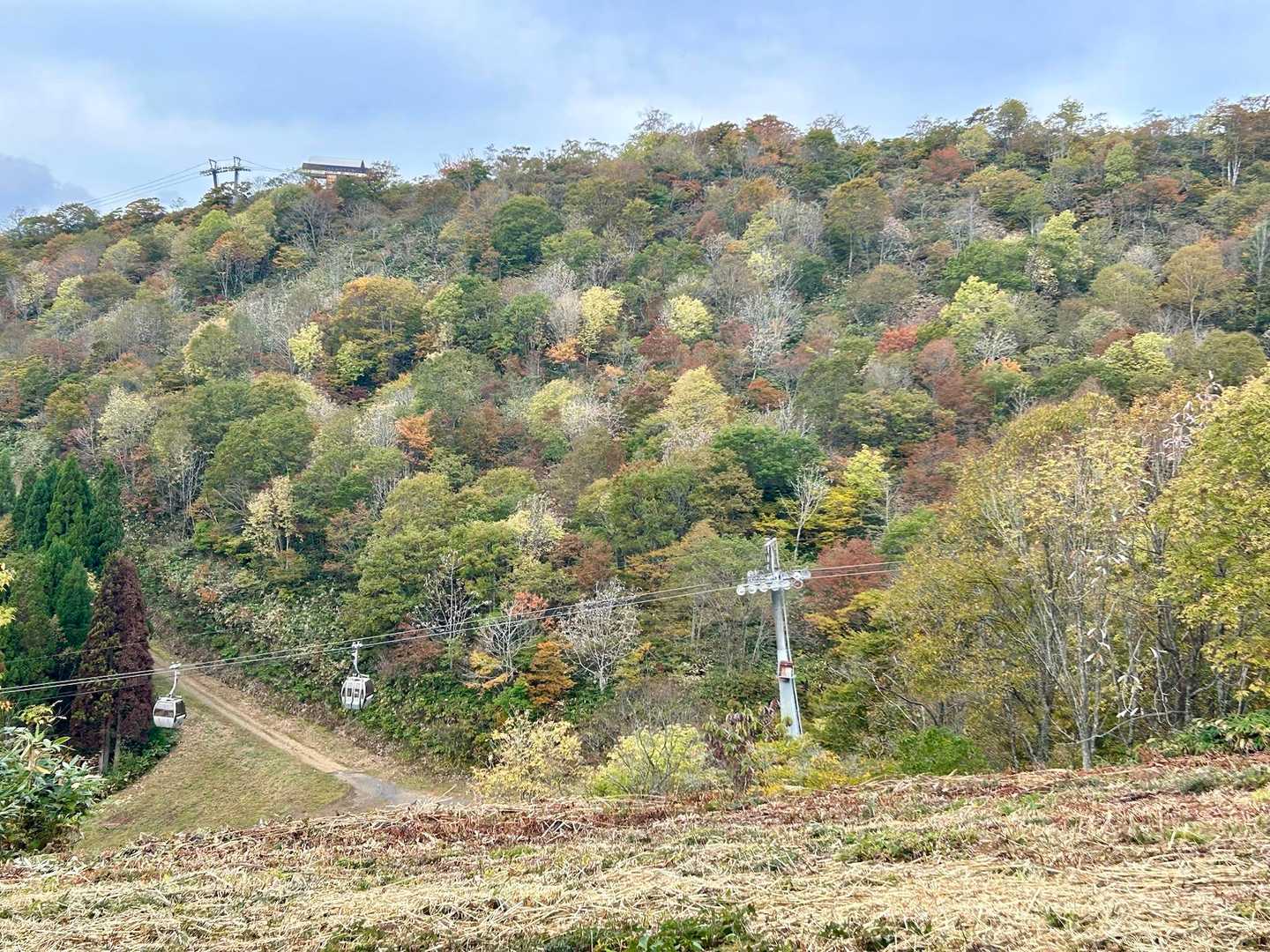 横にはロープウェイ🚡
少し紅葉もして来ました🍁