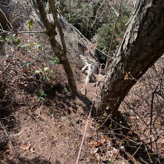 帰りの方が怖い垂直ロープ