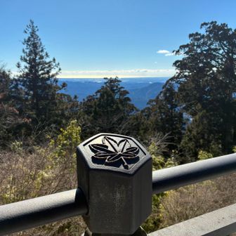 秋葉神社の神紋である楓
