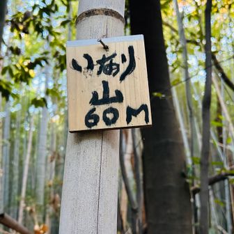 山名板。稲荷神社があるのかと思ったが痕跡もなし。