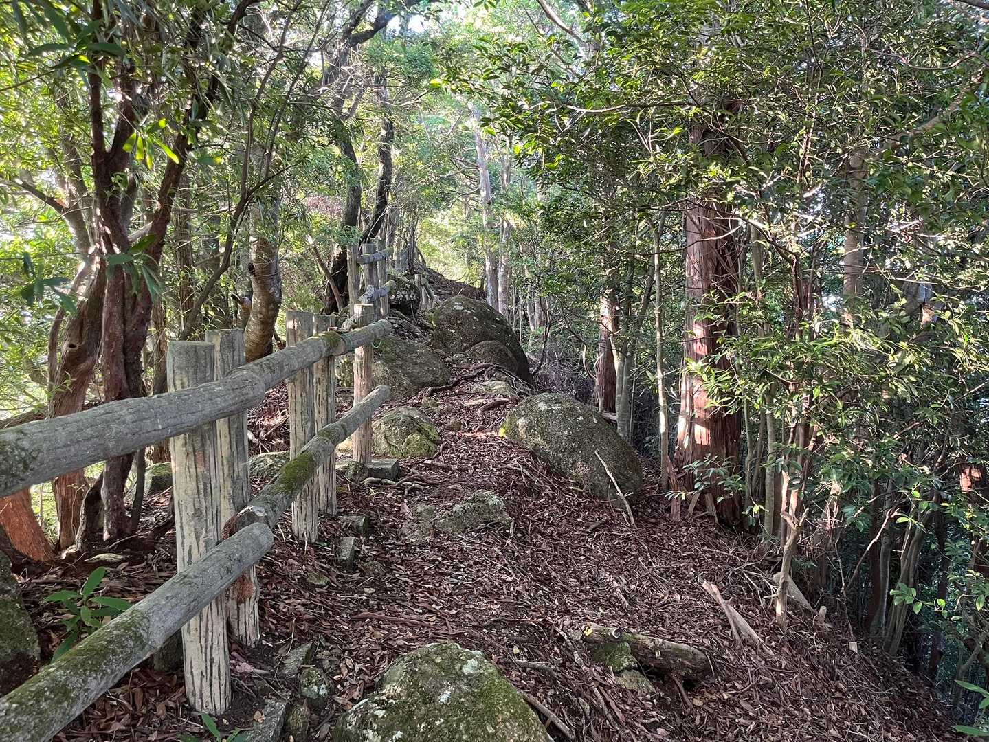 頂上直下の尾根、左は絶壁、右はかなりきつい斜面。昔は少し怖かったです。