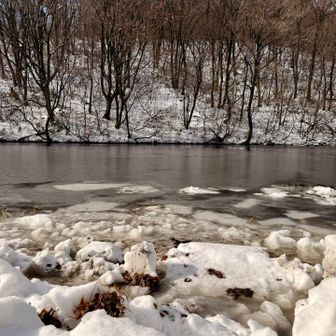 早起きしたはずなのに、この時間にやっとスタートなのです
一度到着したものの見上峠で既に積雪、、ビビった私は軽アイゼン取りに戻ってー！と
夫、無言で了承😑
登山口から家に逆戻り🚙
そして再び💦