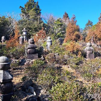 朝熊山経塚群。