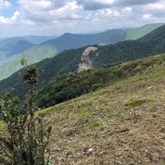 さきほど登ってきた西尾根ルートです。