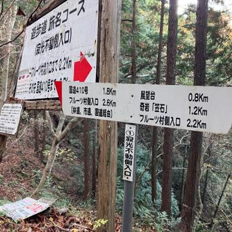 道標。放置されきって、立ち入り禁止なのかもよくわからん状態。おい行政