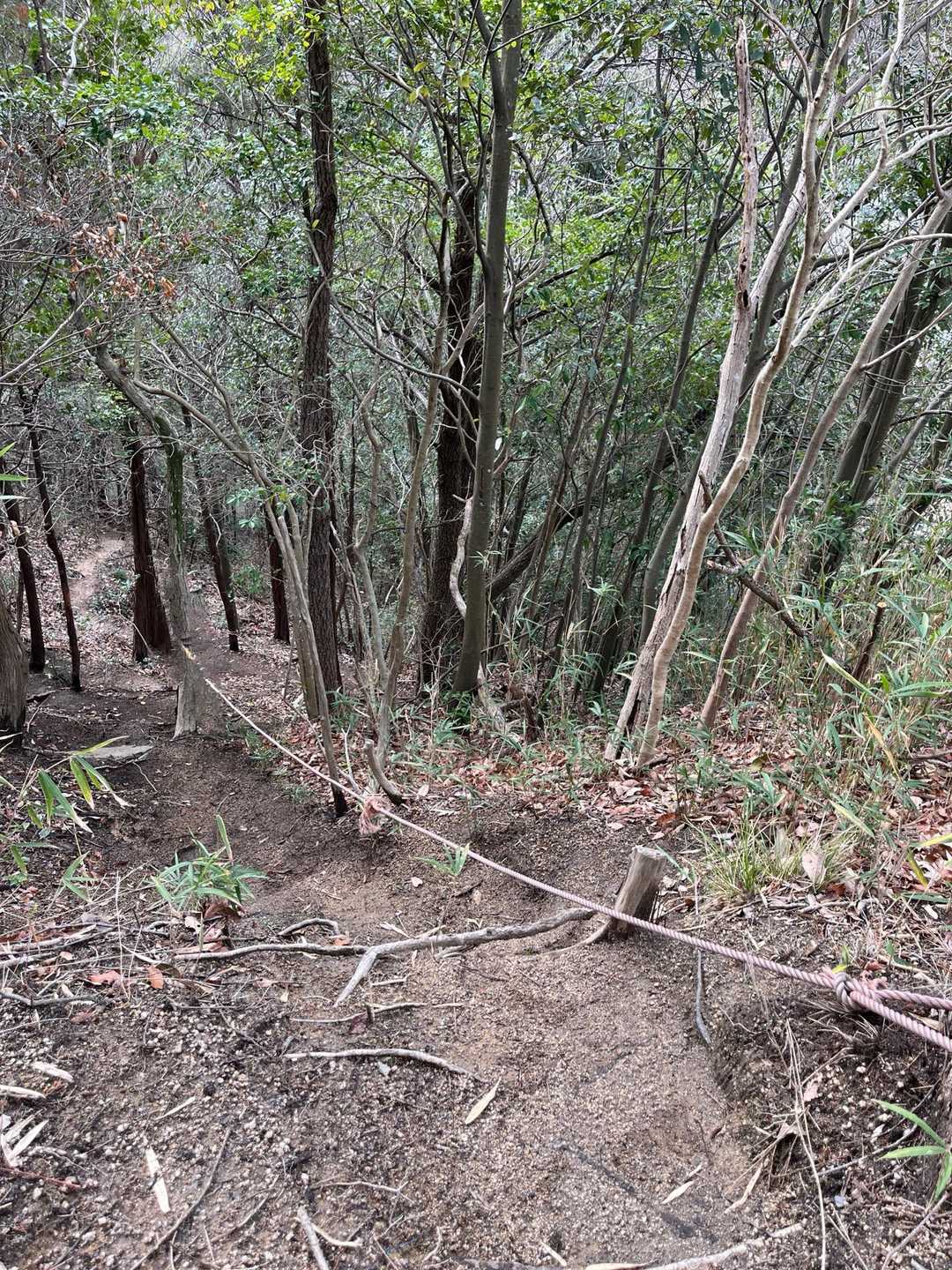 お助けロープで下り、下山に。