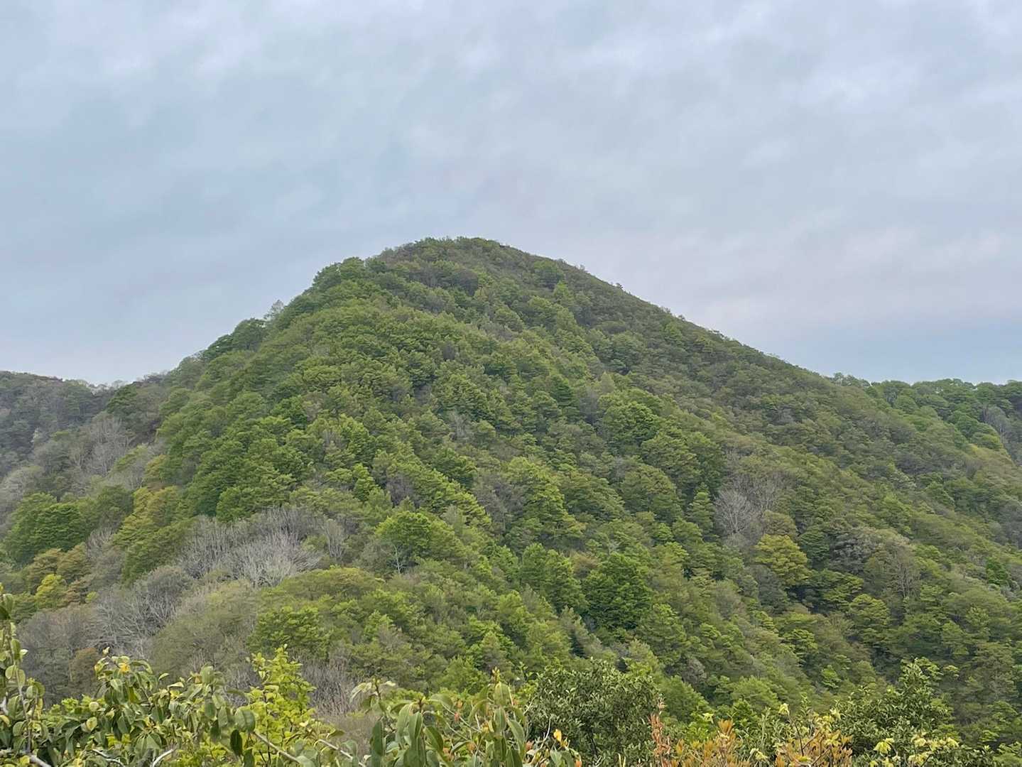 大内峠-熊の平-火燈山 往復コースの写真