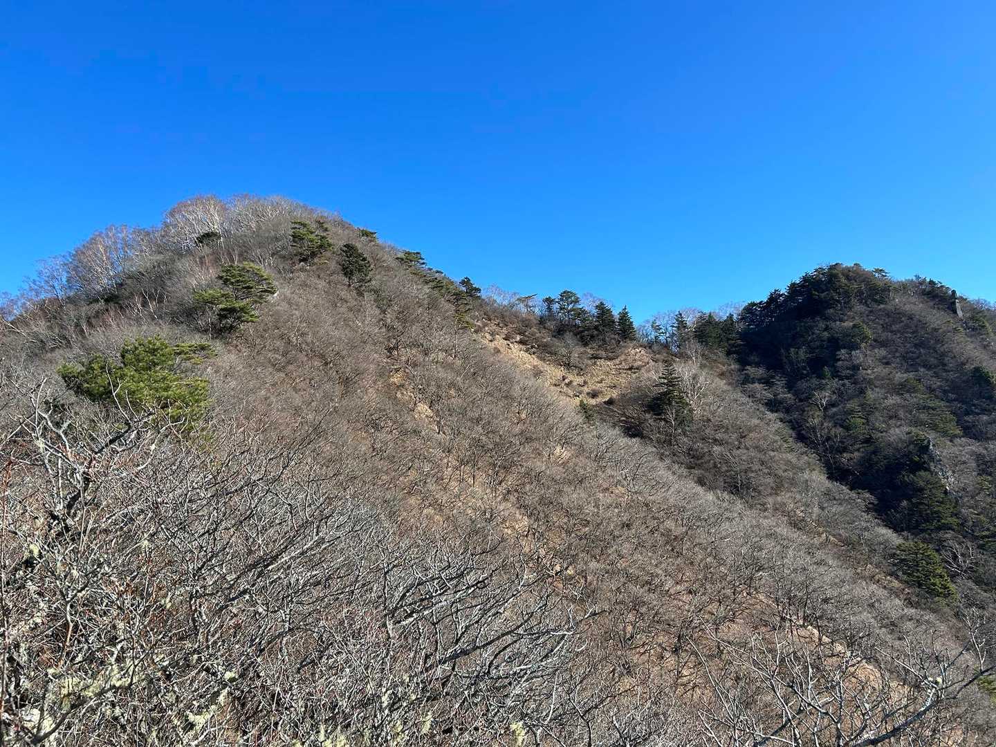 振り返って金ヶ岳⛰️