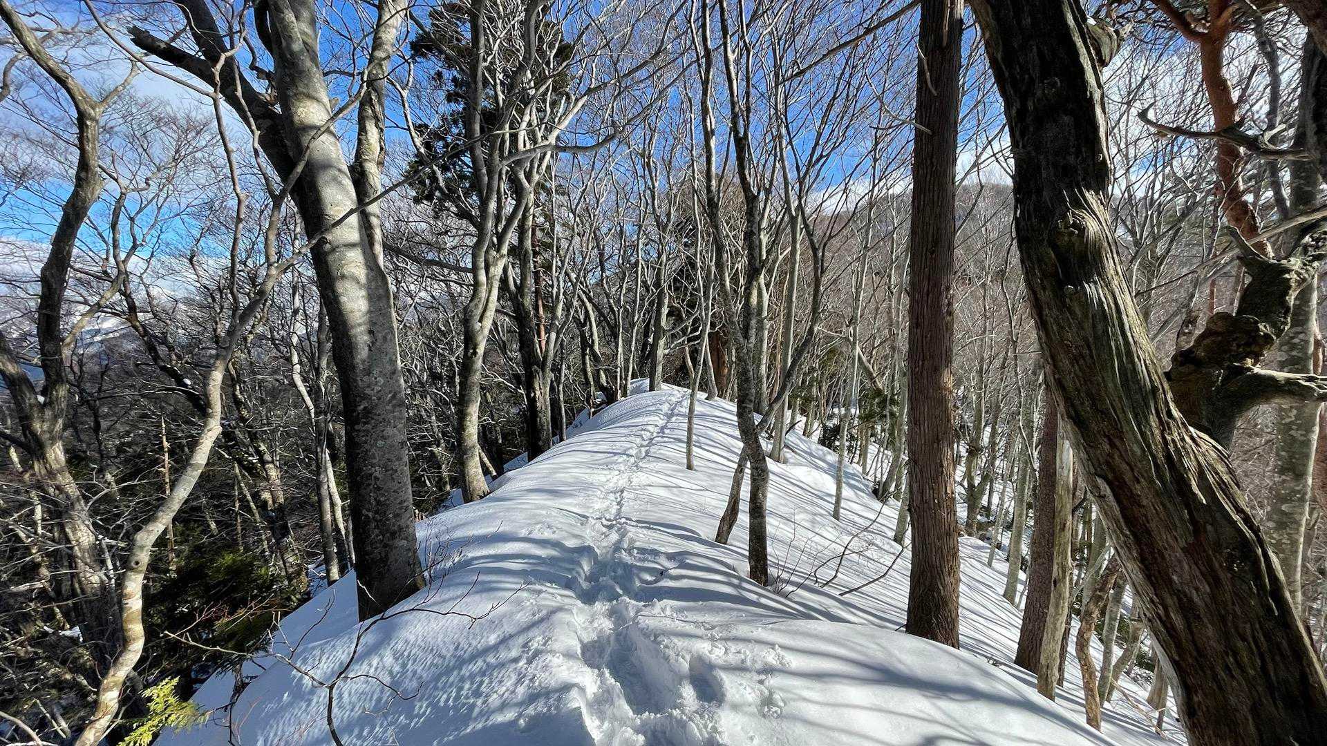 前岳-中岳 往復コースの写真