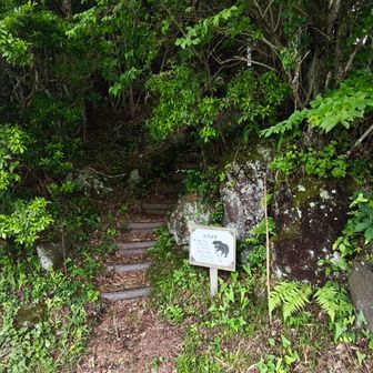 無事箱根湖畔GC横の登山口に着きました🚶